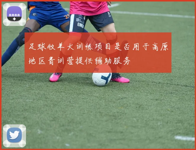 足球牧羊犬训练项目是否用于高原地区青训营提供辅助服务