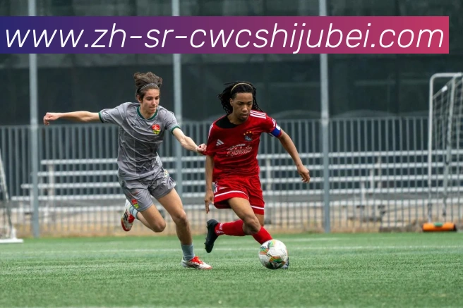 App Interface Preview