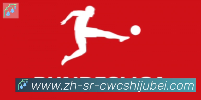 世界杯买球合作伙伴