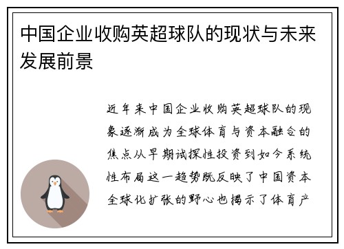 中国企业收购英超球队的现状与未来发展前景
